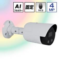 4.0MP POE対応 AI画像処理 24Hカラー フラッシュライト付 ネットワークカメラ
