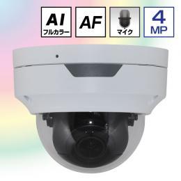 POE対応 AI画像処理 24Hフルカラー ネットワーク ドームカメラ