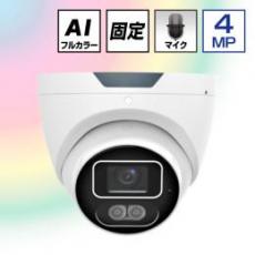 4.0MP POE対応 24Hカラー フラッシュライト付 ネットワークドームカメラ