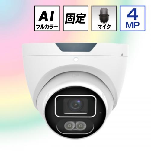 4.0MP POE対応 24Hカラー フラッシュライト付 ネットワークドームカメラ